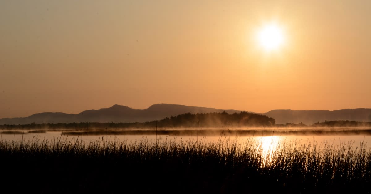 Fern Ridge Sunset by Colin Morton Fern Ridge Sunset by Colin Morton