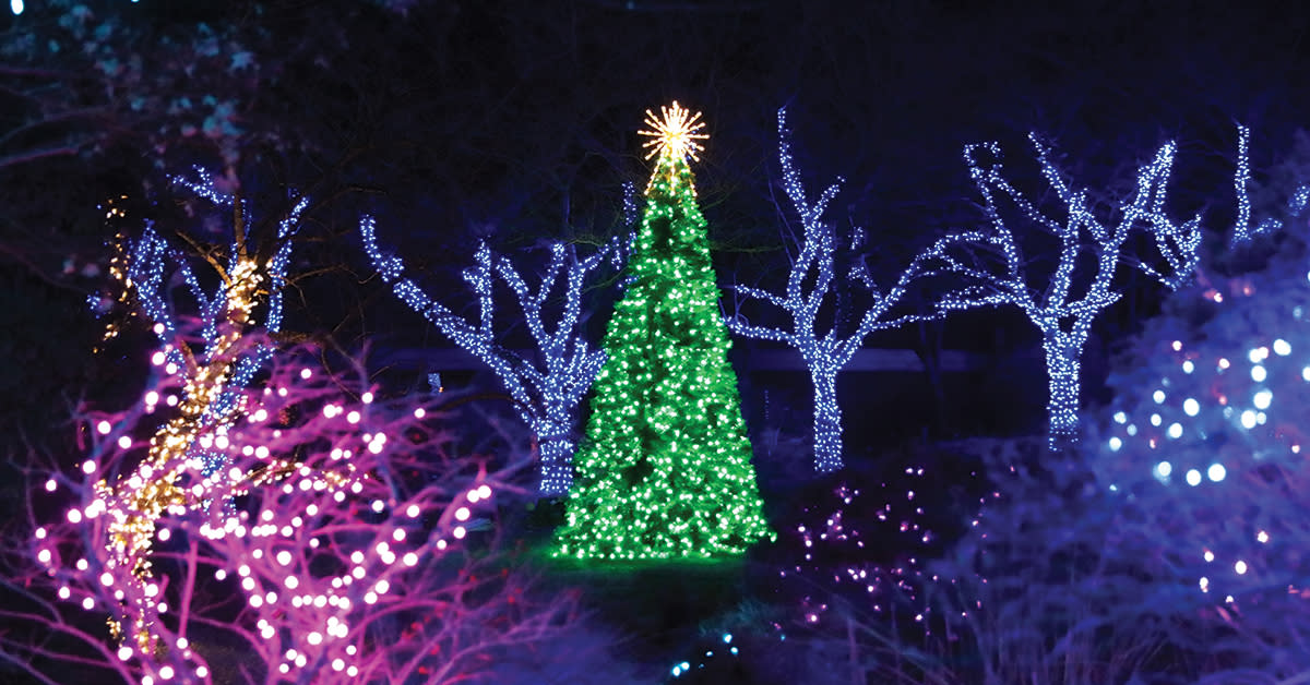 Meadowlark winter walk of lights coupon