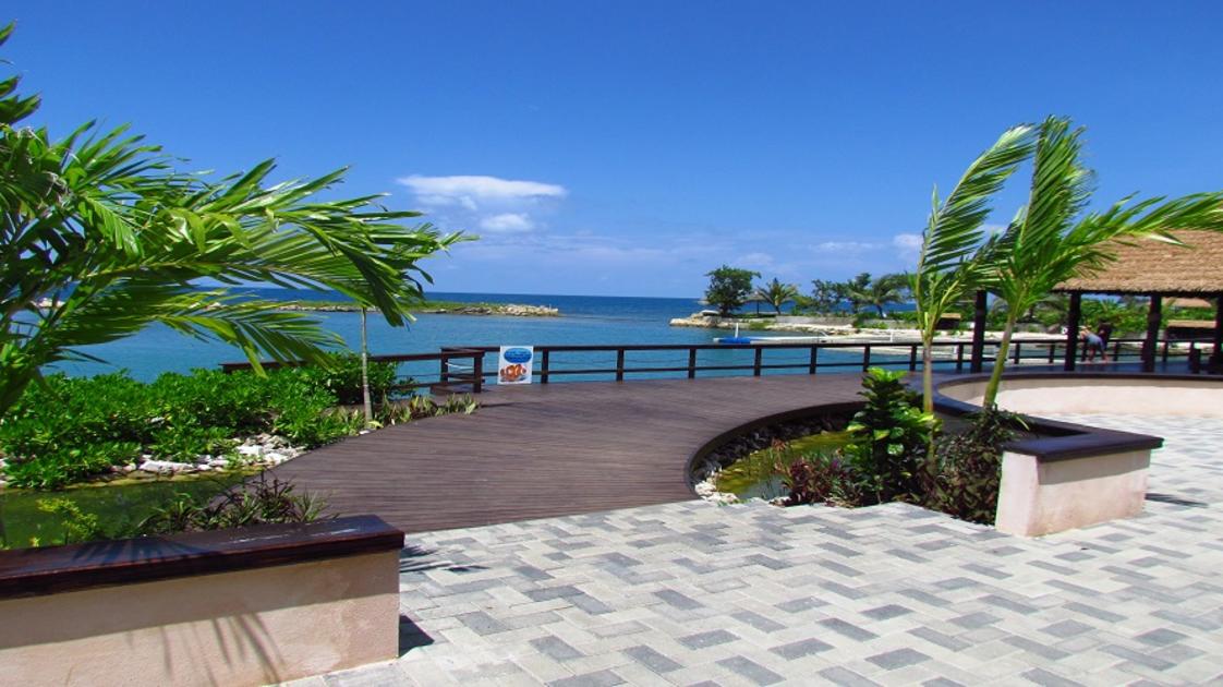 Dolphin Cove Montego Bay