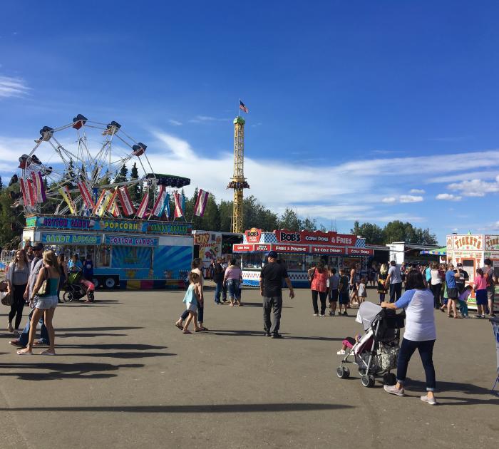 people milling about at a midway of a state fair