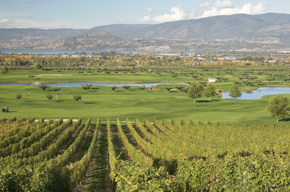 Harvest Header 3