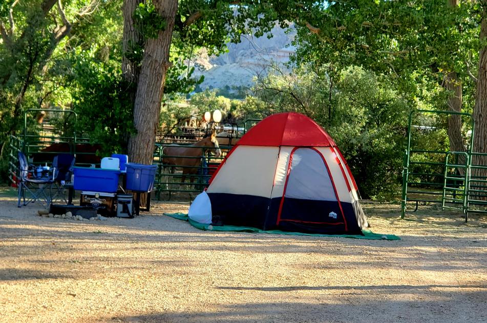 Tent