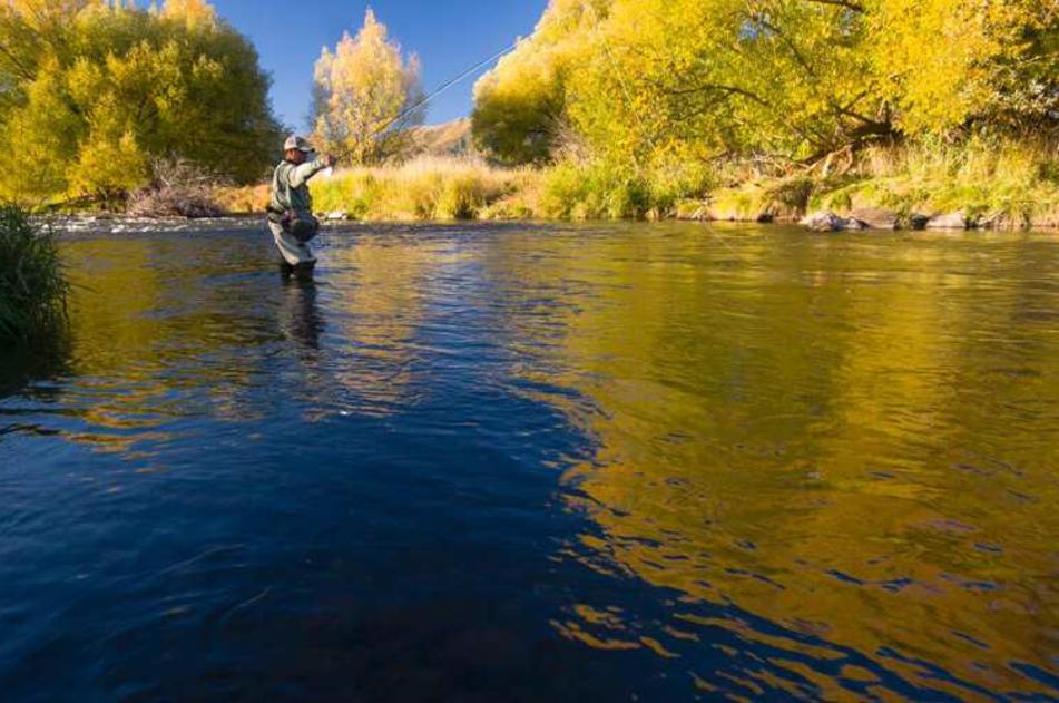 Wilderness Trout Expeditions