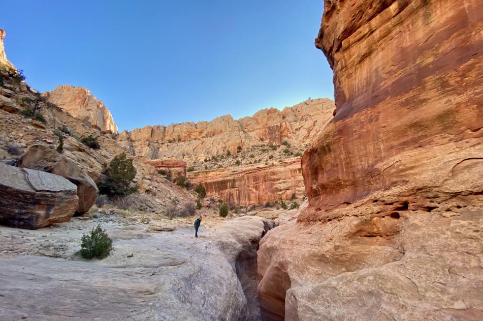 Capitol Reef Tour