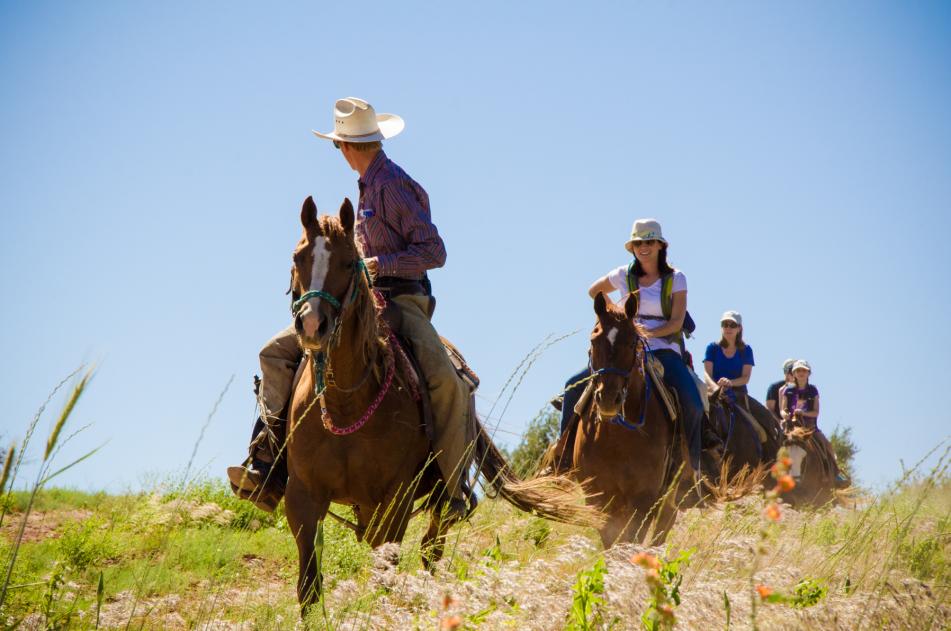 Horseback Riding Tours