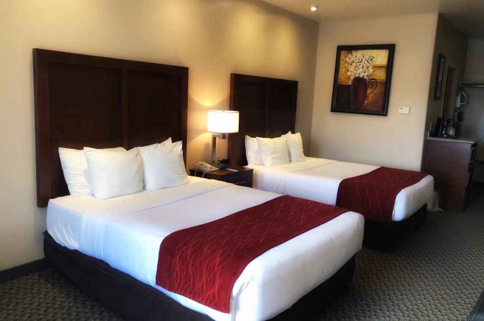 Double Queen Guest Room