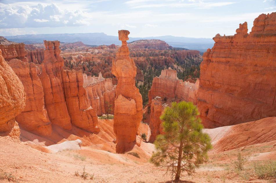 Bryce Canyon Hoodoo