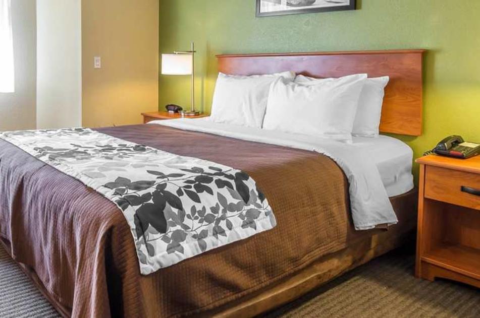 King Guest Rooms