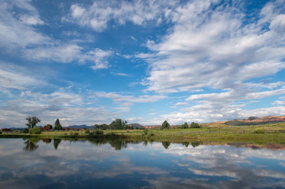 Pond nearby