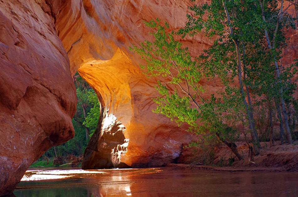 Coyote Gulch