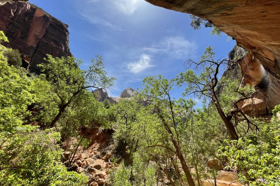 East Zion