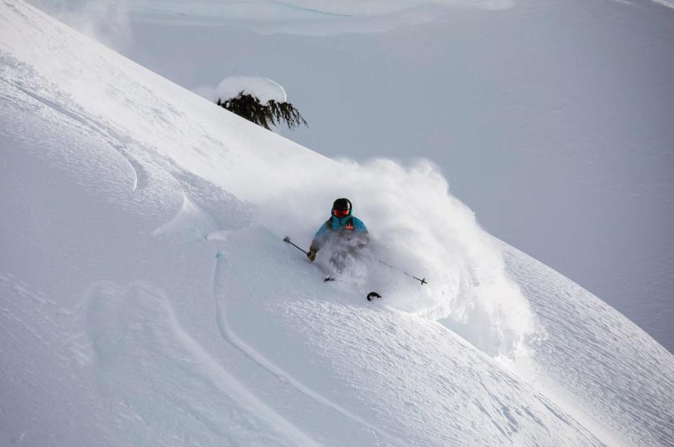 Ski Delivery