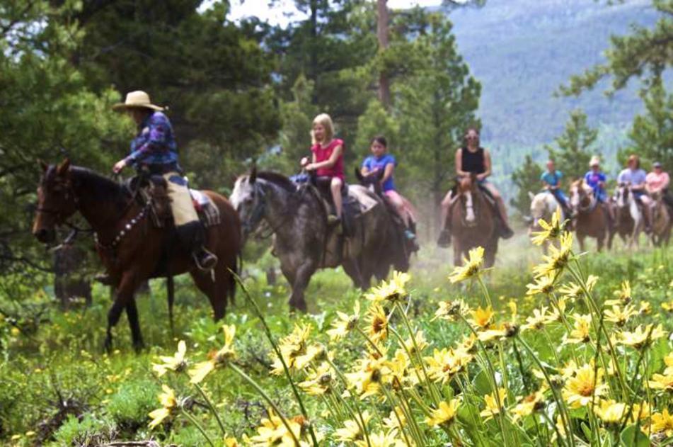 Group Horseback Riding