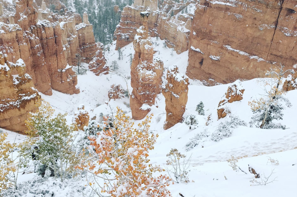 Winter