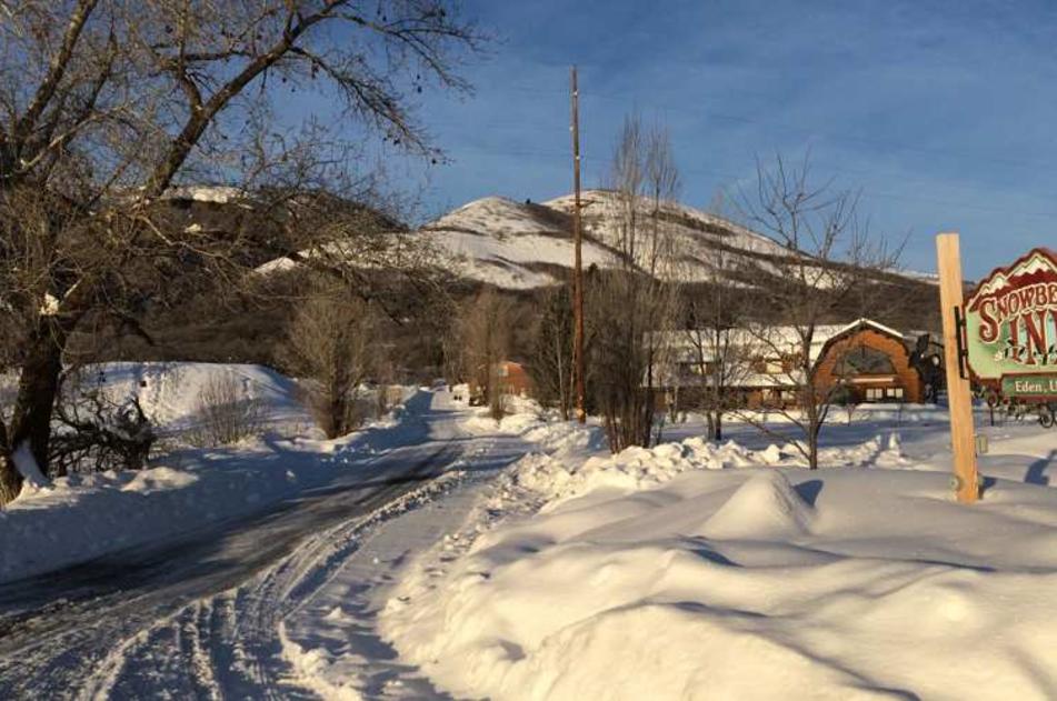 Snowy Driveway