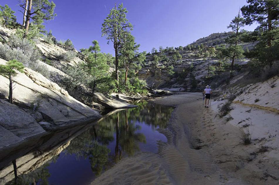 Lone Hiker