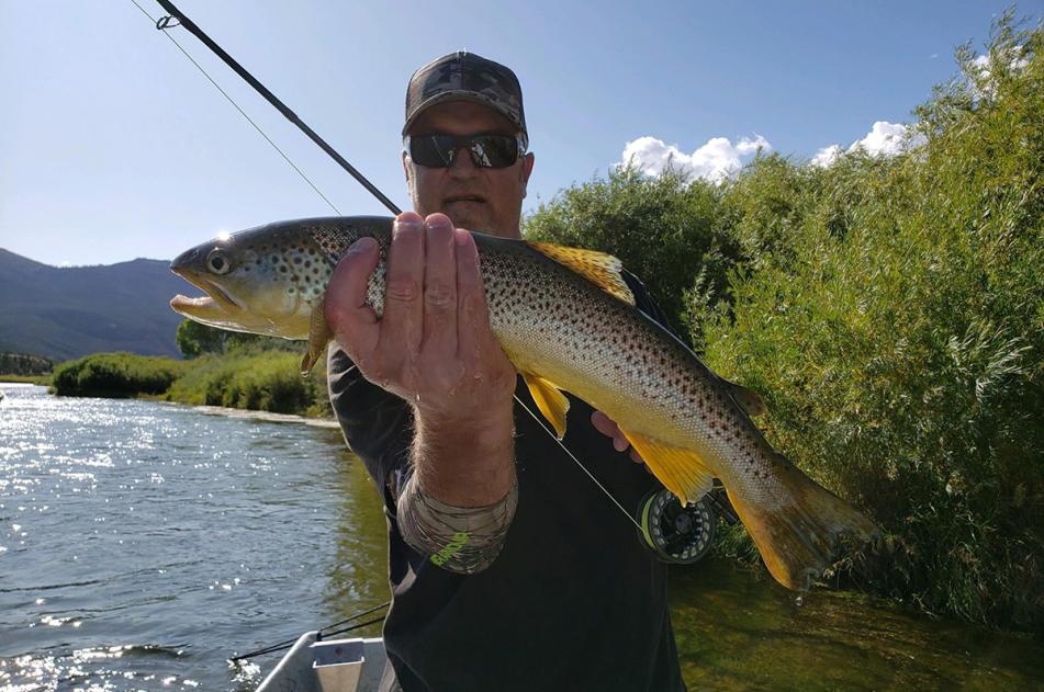 Bigger fish
