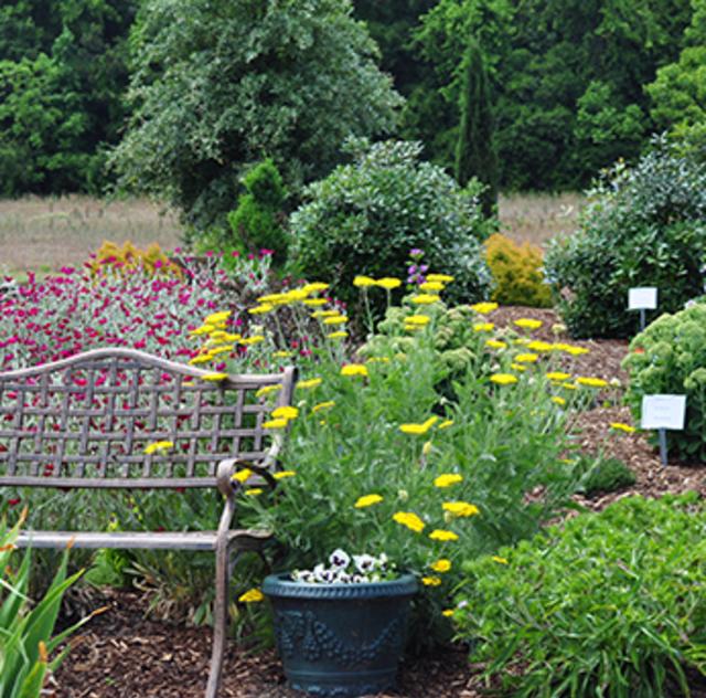 Arboretum