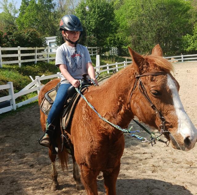Black Creek Hill Farm horse 2000x1500 72dpi