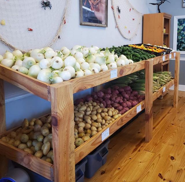 Eastern NC Crawfish Farm