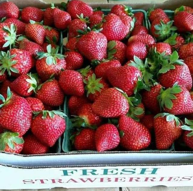 Strawberry 1