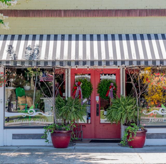 The Vine & Branch Florist & Gifts