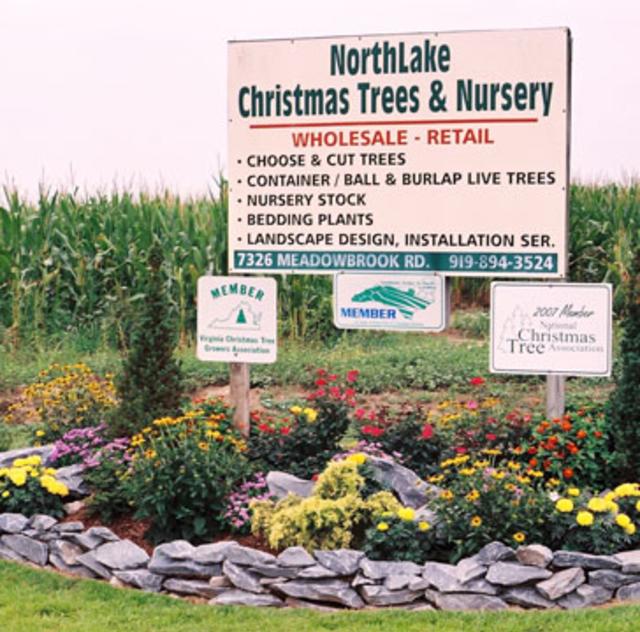 Northlake Christmas Trees & Nursery