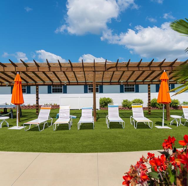 Raleigh Oaks pool chairs