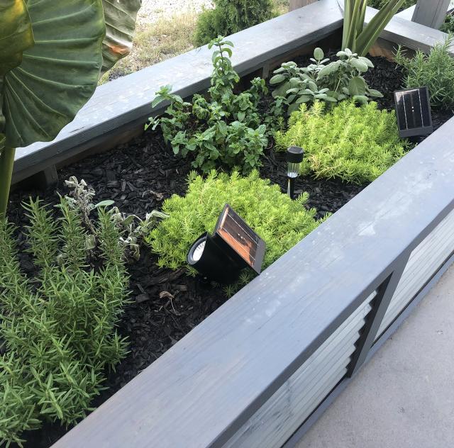 Revival 1869 Patio Herb Garden 2000x1500 72dpi