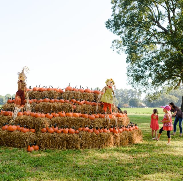 Sonlight Farms