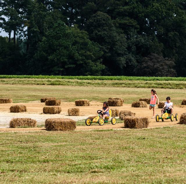 Sonlight Farms Pedal Carts
