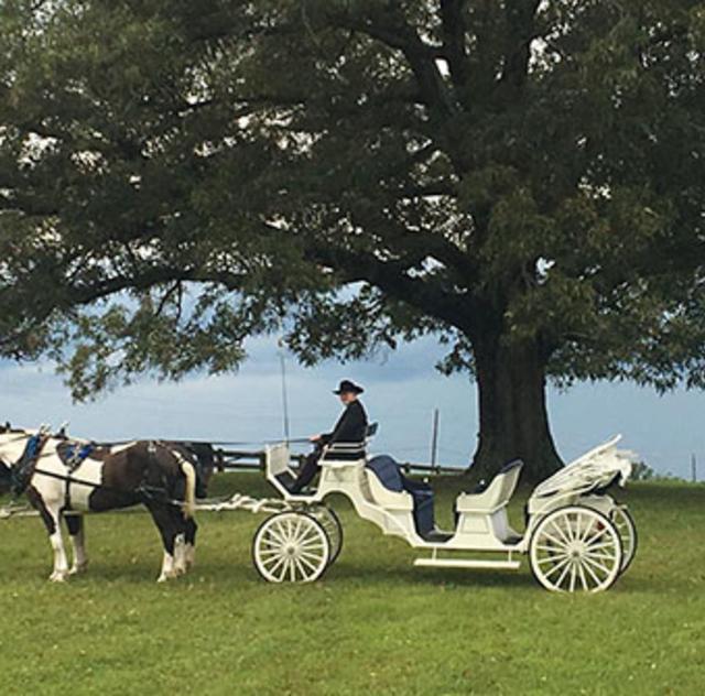 Southern Charm Carriages