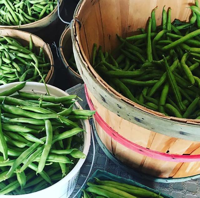 pace_farms_greenbeans 2000x1500 72dpi