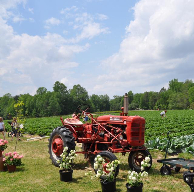 Smith's Nursery Tractor