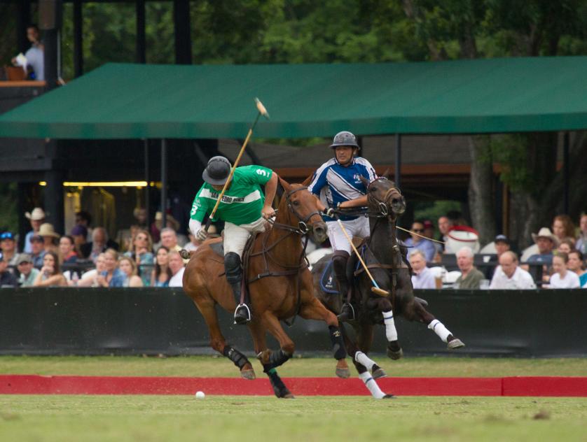 Houston Polo Club Things To Do in Houston, TX 77024
