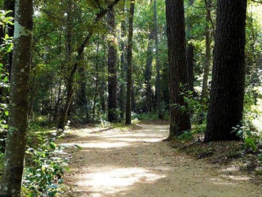 Mercer Arboretum And Botanical Gardens Things To Do In Humble