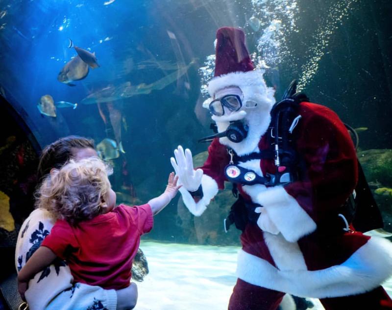 Scuba Santa at the Virginia Aquarium