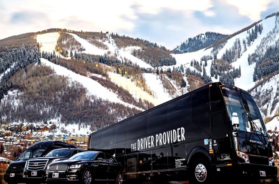 Alps Others Driver