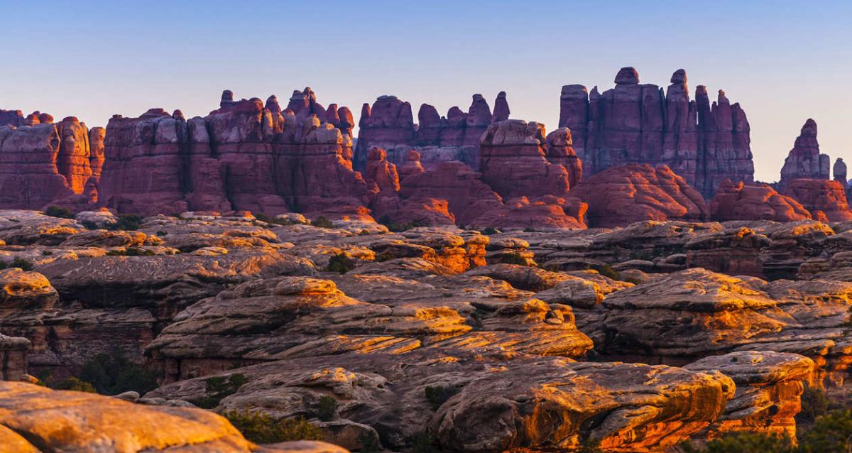 The Needles sandstone formations in Canyonlands National Park