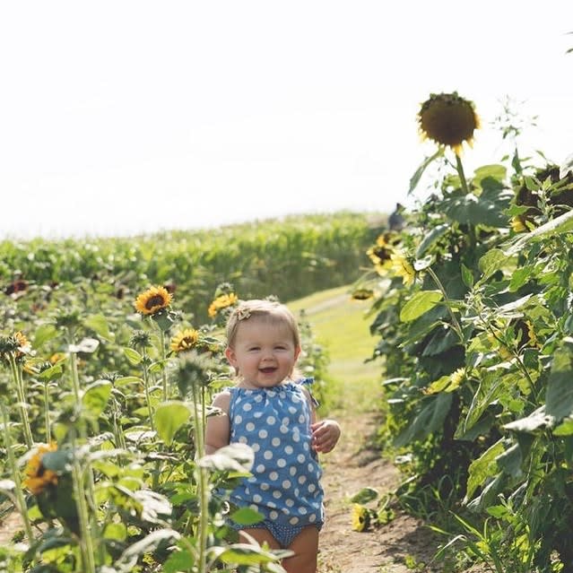 Wea Creek Orchard - Baby