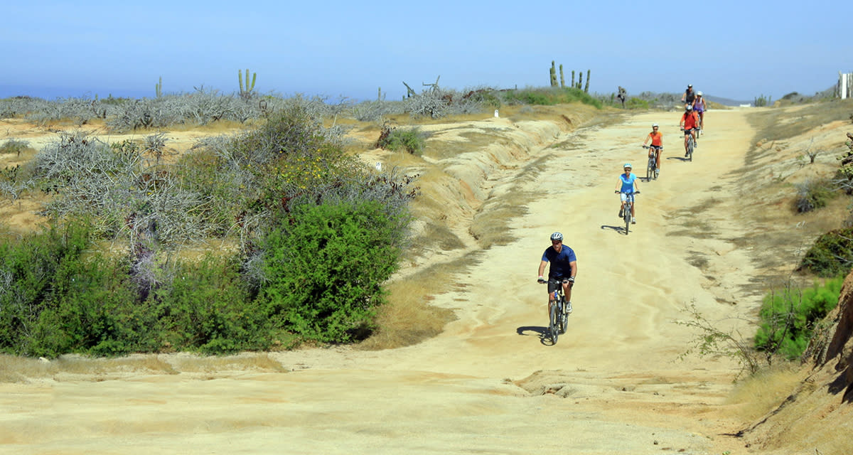 Mountain Bikers