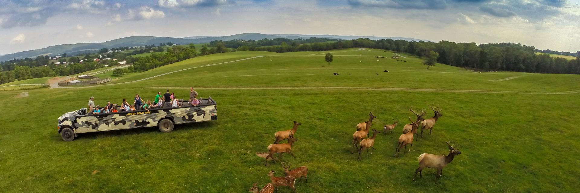 lake-tobias-wildlife-park-safari-bus-halifax