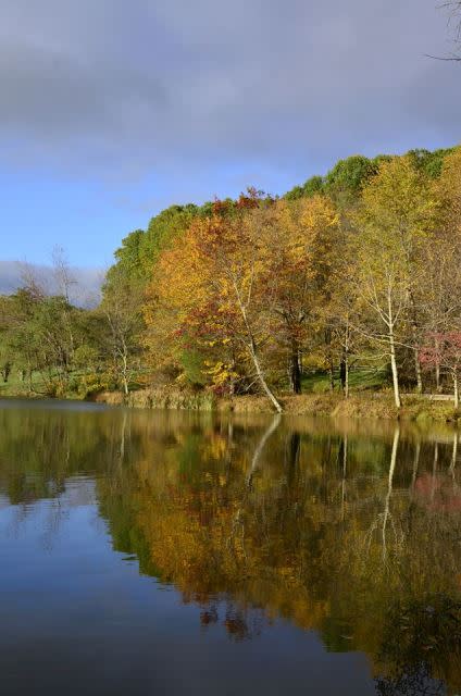Bedford County Lake - Fall Photo