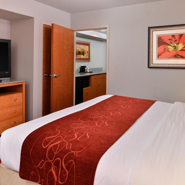 Comfort Suites Virginia Center Commons