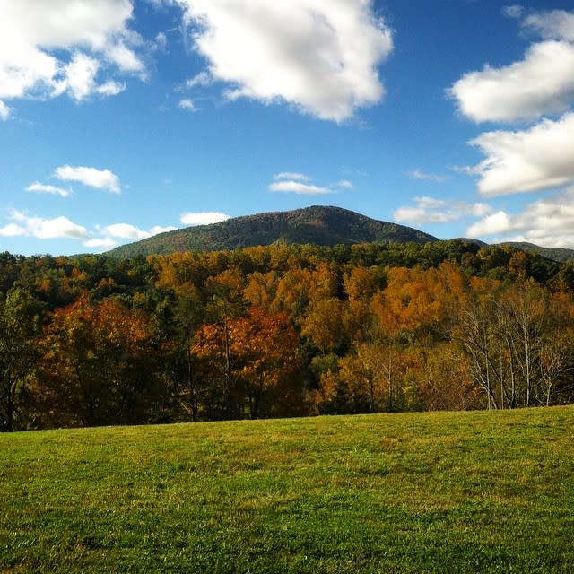 Bent Mountain Fall - Fall Photo