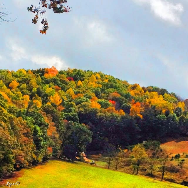 Fall Foliage Virginia S Blue Ridge Mountains Photo Gallery