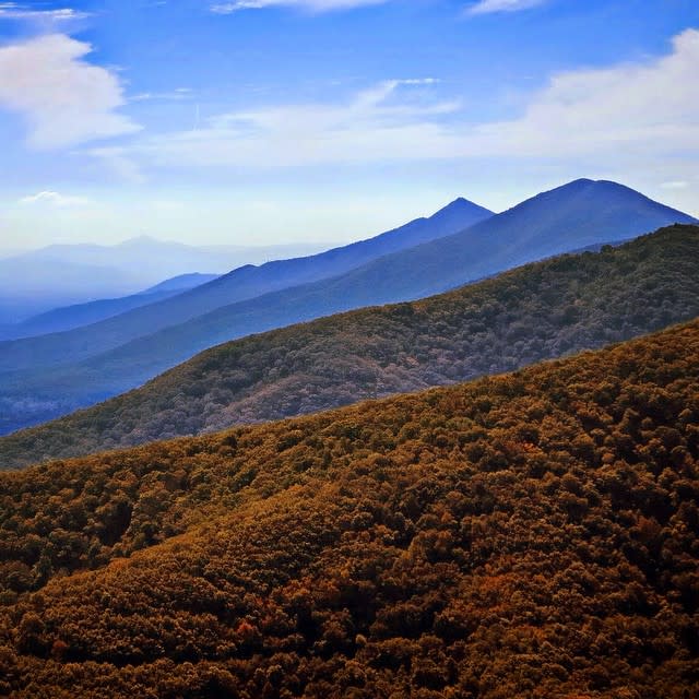 Blue Ridge Mountains Fall - Fall Photo