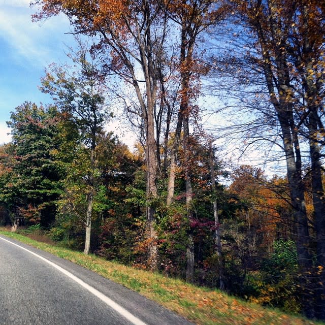 Scenic Drive - Fall Photo