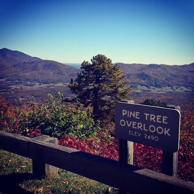Pine Tree Overlook - Fall Photo