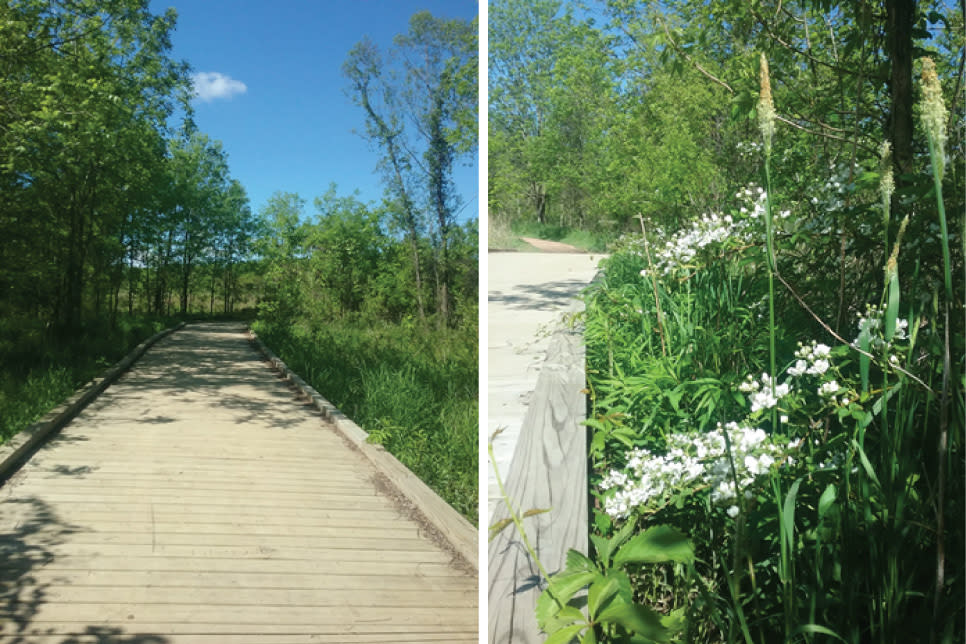 Coffee Creek Watershed Preserve  - Katharine Stob